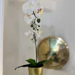 Aquarium Exclusive Loft - Private Parking Lejlighed *