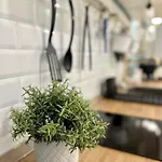 Lejlighed Aquarium Exclusive Loft - Private Parking Genova