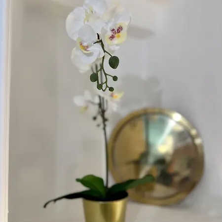 Aquarium Exclusive Loft - Private Parking 아파트 *